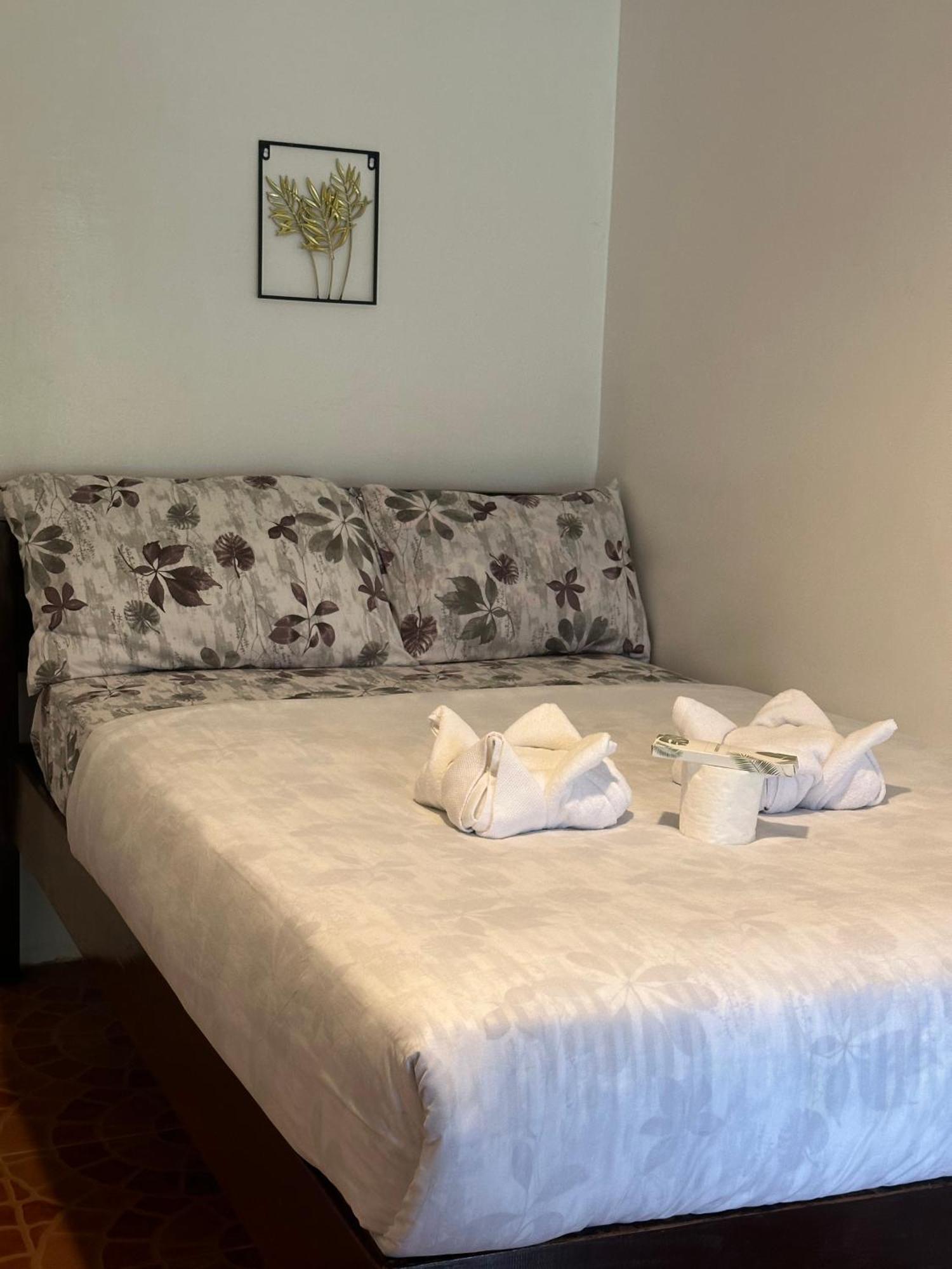 Trisha Guesthouse 圣维森特 外观 照片